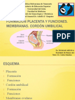 Formacion Placenta y Funciones