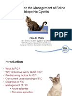 Feline Idiopathic Cystitis - Sheila Wills