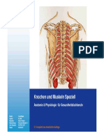 02 03 05 Anatomie Knochen Muskeln Speziell