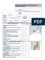 Inspección ergonómica puesto trabajo formato