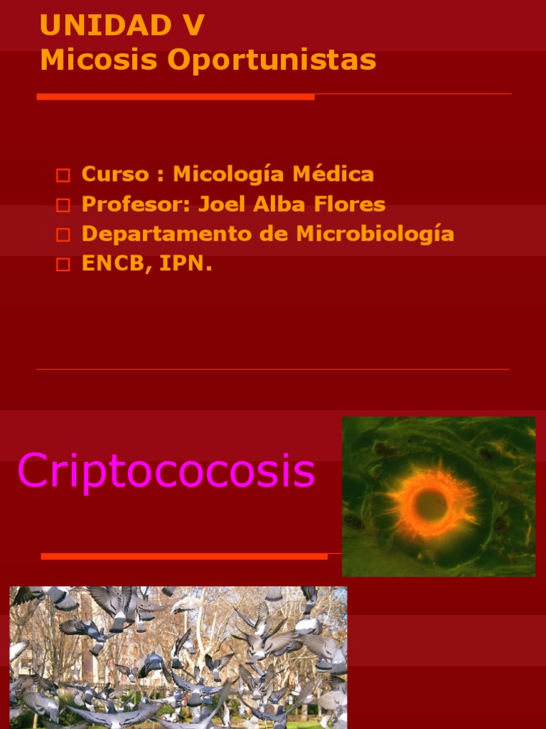 Criptococosis | PDF | Meningitis | Especies