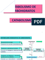 Metabolismo de Carbohidratos Catabolismo