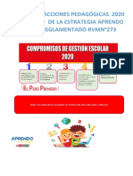 Informe-de-acciones-pedagogicas-referencial