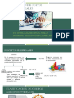 Clasificación de Costos Agroindustriales