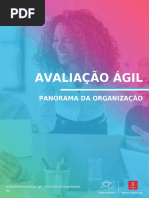 Relatorio_encontro_Assessment Avaliação Ágil _ Panorama da organização_jon_2d5da798