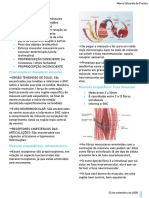 propriocepção 