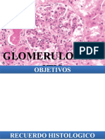 GLOMERULONEFRITIS