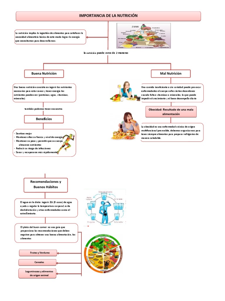 Mapa Conceptual | PDF | Nutrición | Dieta y nutrición