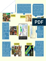 Mapa Mental Sobre La Región Pacífica