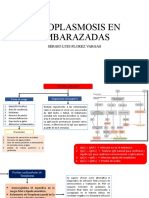 Toxoplasmosis en Embarazadas