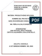 Informe de Consultoria Consult