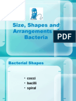 Size, Shapes and Arrangements of Bacteria: Microbiology