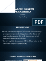 Anatomi System Perkemihan