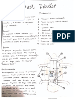 Diseño Creativo