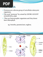 Classification of the Animal Kingdom | PDF | Anatomy | Zoology