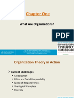 Chapter One: What Are Organizations? What Are Organizations?