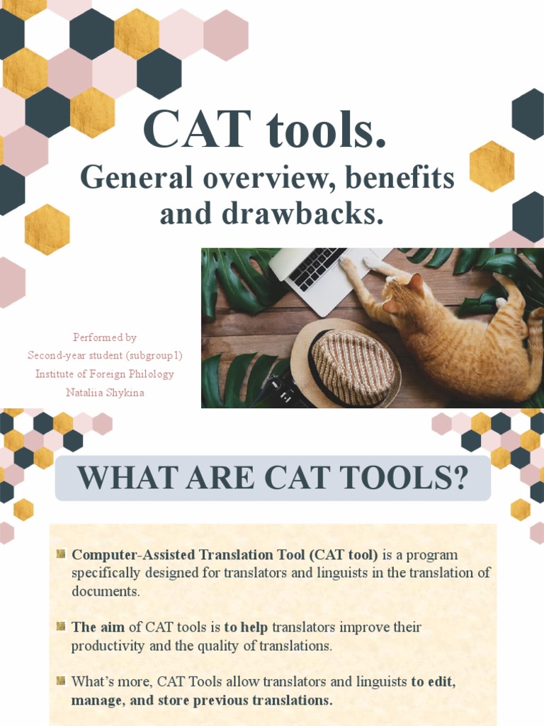 Benefits and Drawbacks of CAT Tools | PDF | Applied Linguistics | Computing