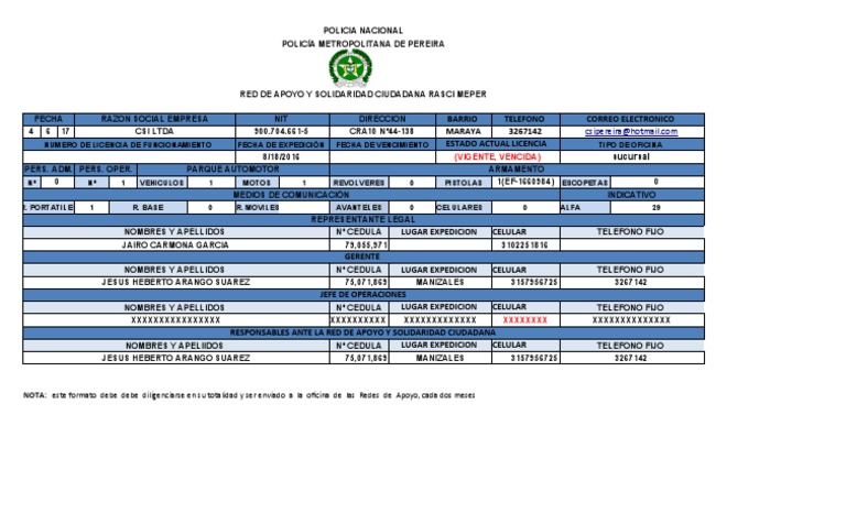 Formato Reporte de Informacion Rasci | PDF | Telefonía | Redes