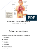 Anatomi Sistem Endokrin Polos