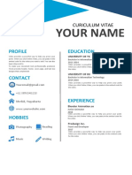 CV Template for IT Professional