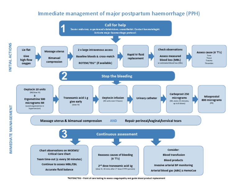 Postpartum Haemorrhage PPH Algorithm - June 2019 | PDF | Medical ...