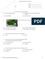 Bryophytes & Pteridophytes Quiz