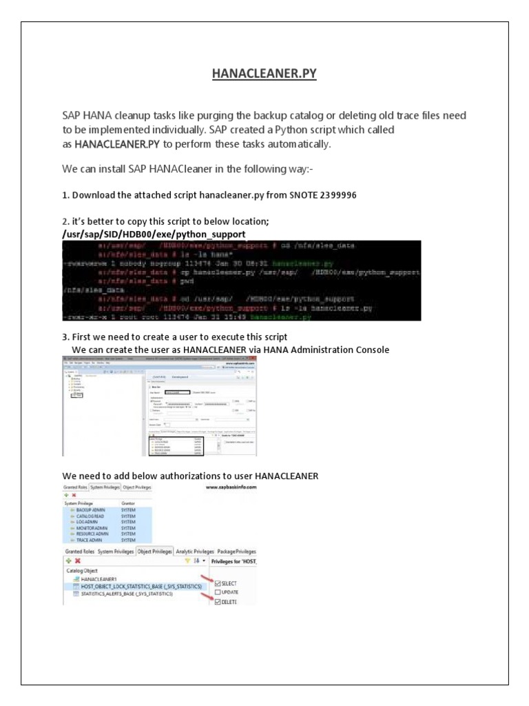 HANA CLEANER Housekeeping PDF