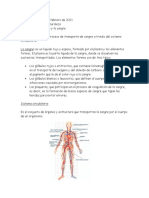 Circulación y La Sangre