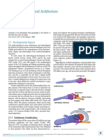 The Cerebral Architecture: 2.1 Developmental Aspects