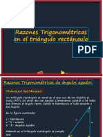 Razonestrigo Triangulo Rectangulo