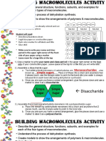 Building Macromolecules Activity - PPT - Basic Directions To Get Students Started