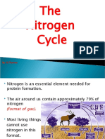 The Nitrogen Cycle: By: R.Thomas