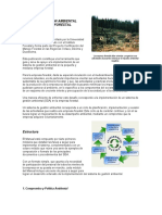 Sistema de Gestión Ambiental para La Empresa Forestal