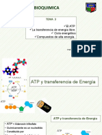 Bioq Tema 3 -20202 ATP y transferencia de energia