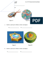 CLASE 3 - Biología 2° Año TM