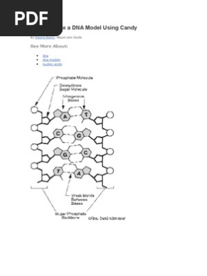 How To Make a DNA Model