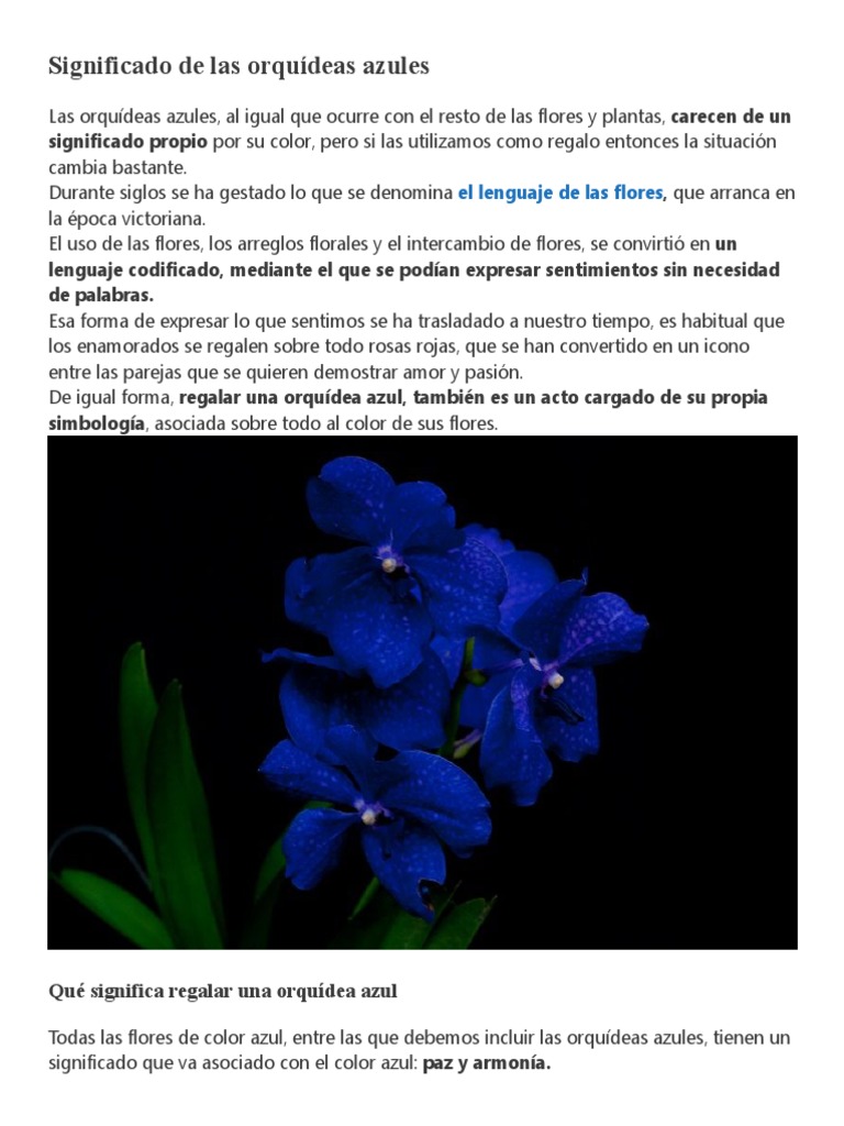 Orquídeas Azules | PDF | Orchidaceae | Jardinería