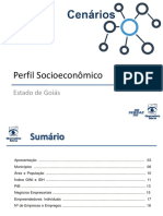 Observatório SEBRAE_Perfil SocioEconômico