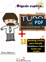 Tudo Sobre Pentatônica - Série Prof. Bigode Explica - Silvio Ribeiro