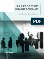 Estrutura e processos organizacionais: introdução ao tema e conceitos fundamentais