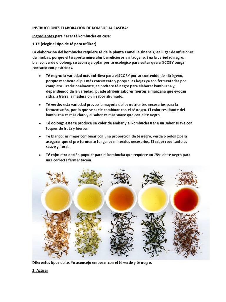 Instrucciones Elaboración de Kombucha Casera | PDF | Té | Azúcar