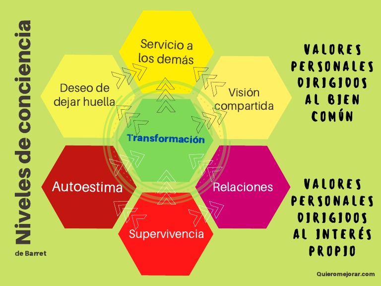 PDF Niveles de Conciencia de Barret | PDF