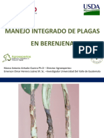 Mip en Berenjena 2