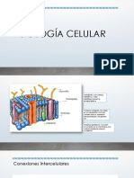 Fisiología Celular
