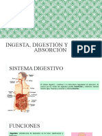 Ingesta, Digestión y Absorción