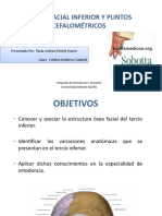 4.SEMINARIO TERCIO INFERIOR