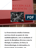 Introduccion A La Neurociencia