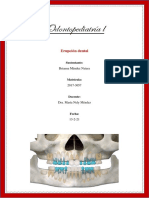 Erupción Dental-Factores Que La Afectan