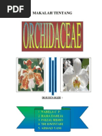 Download makalah morfologi tumbuhan keluarga orchidaceae by Nabela Chintya Palma SN49522812 doc pdf