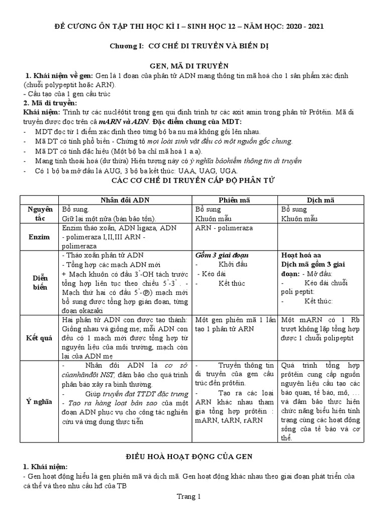 De Cuong On Tap Sinh 12 HK1 | PDF